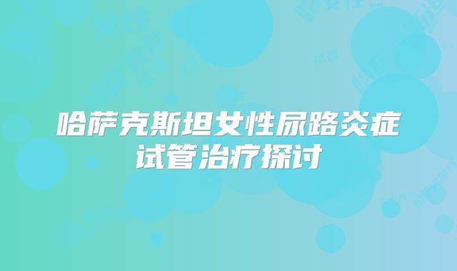 哈萨克斯坦女性尿路炎症试管治疗探讨
