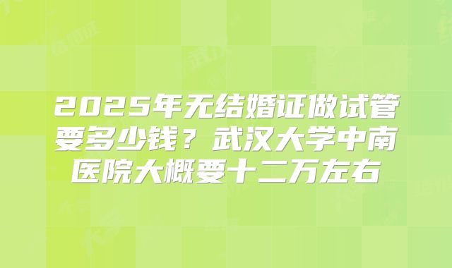 2025年无结婚证做试管要多少钱？武汉大学中南医院大概要十二万左右