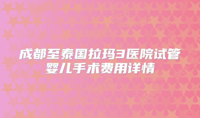 成都至泰国拉玛3医院试管婴儿手术费用详情