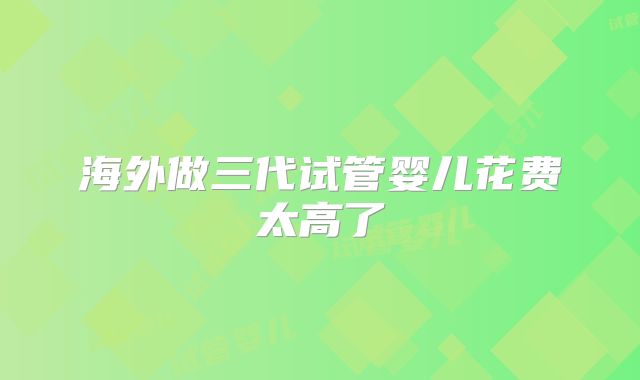 海外做三代试管婴儿花费太高了