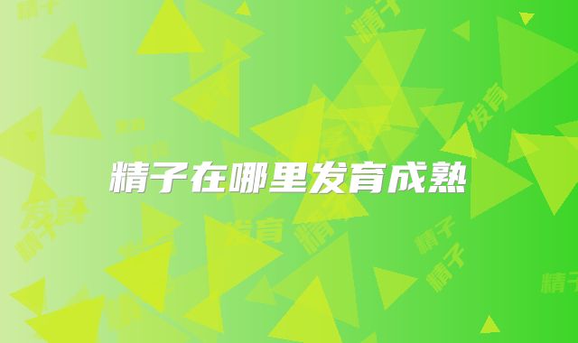 精子在哪里发育成熟