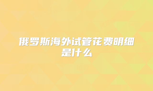 俄罗斯海外试管花费明细是什么