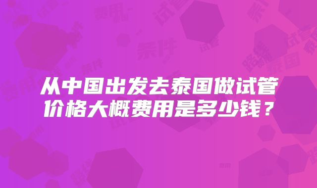 从中国出发去泰国做试管价格大概费用是多少钱？