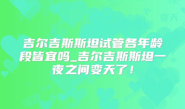 吉尔吉斯斯坦试管各年龄段皆宜吗_吉尔吉斯斯坦一夜之间变天了！