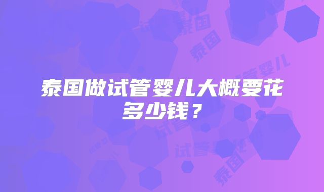 泰国做试管婴儿大概要花多少钱？