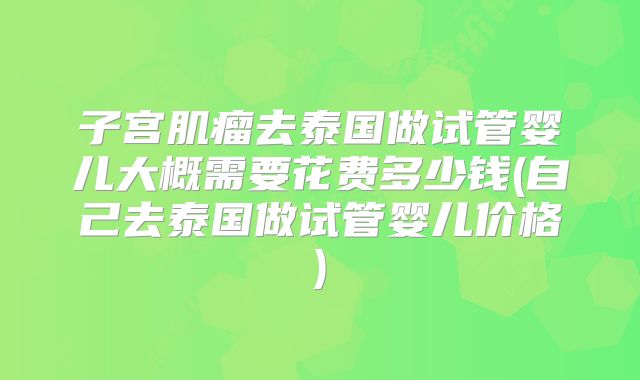 子宫肌瘤去泰国做试管婴儿大概需要花费多少钱(自己去泰国做试管婴儿价格)