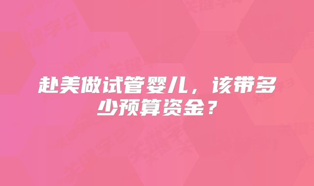 赴美做试管婴儿，该带多少预算资金？