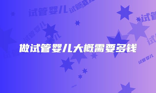 做试管婴儿大概需要多钱