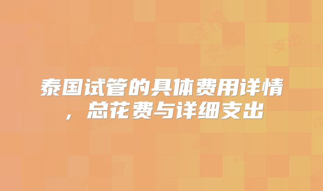泰国试管的具体费用详情,总花费与详细支出