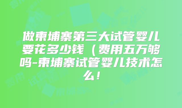 做柬埔寨第三大试管婴儿要花多少钱(费用五万够吗-柬埔寨试管婴儿技术怎么!