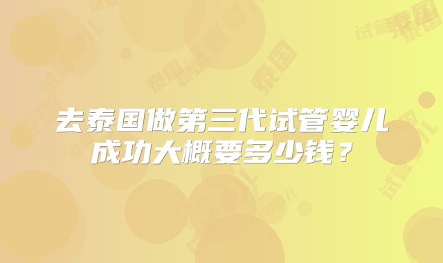 去泰国做第三代试管婴儿成功大概要多少钱？