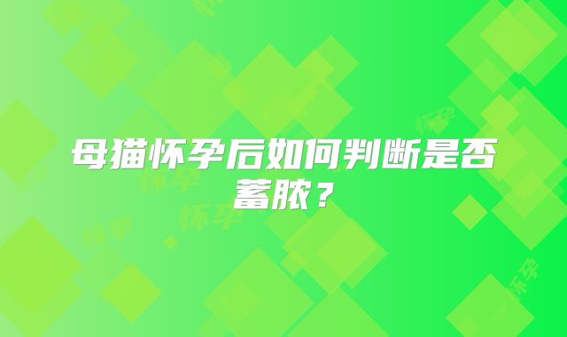 母猫怀孕后如何判断是否蓄脓？