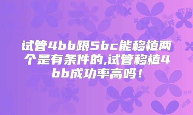 试管4bb跟5bc能移植两个是有条件的,试管移植4bb成功率高吗!