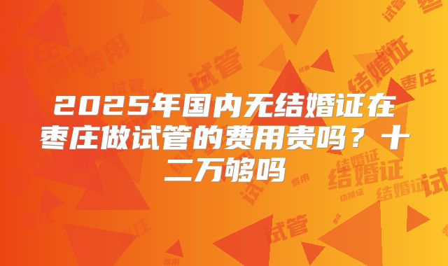 2025年国内无结婚证在枣庄做试管的费用贵吗?十二万够吗