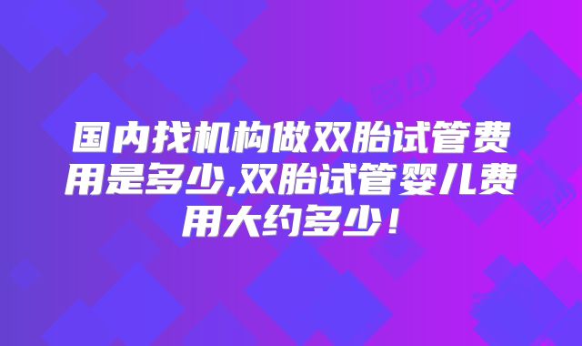 国内找机构做双胎试管费用是多少,双胎试管婴儿费用大约多少！