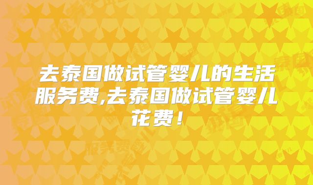 去泰国做试管婴儿的生活服务费,去泰国做试管婴儿花费！
