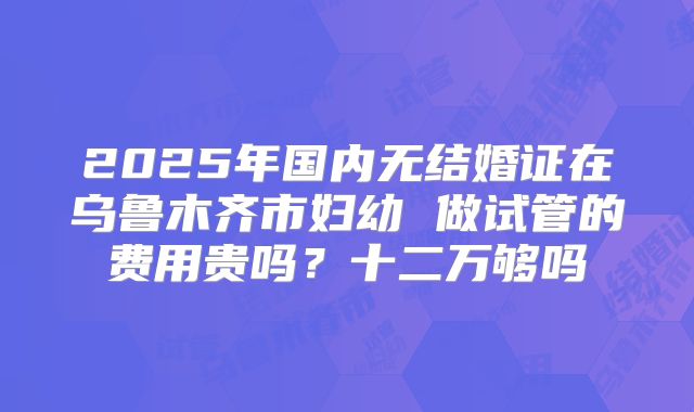 2025年国内无结婚证在乌鲁木齐市妇幼 做试管的费用贵吗？十二万够吗