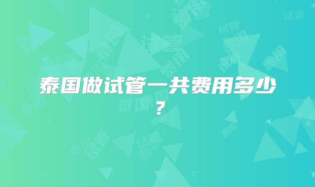 泰国做试管一共费用多少?