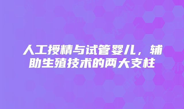 人工授精与试管婴儿，辅助生殖技术的两大支柱