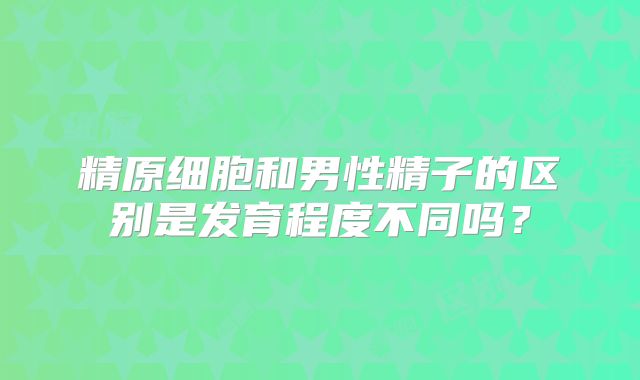 精原细胞和男性精子的区别是发育程度不同吗?
