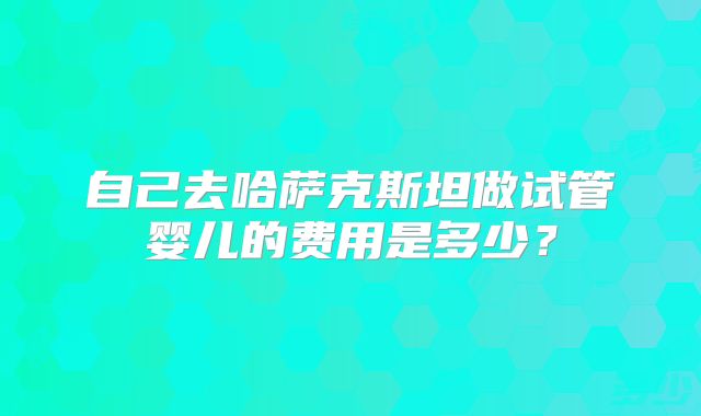 自己去哈萨克斯坦做试管婴儿的费用是多少？