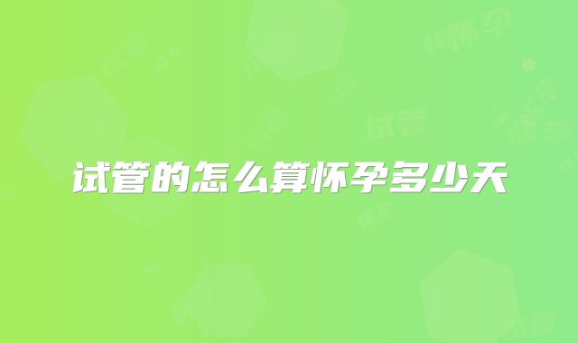 试管的怎么算怀孕多少天