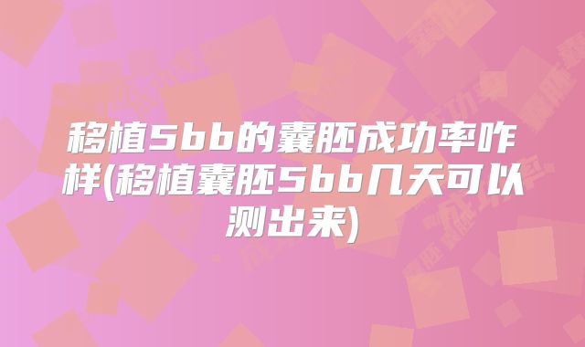 移植5bb的囊胚成功率咋样(移植囊胚5bb几天可以测出来)