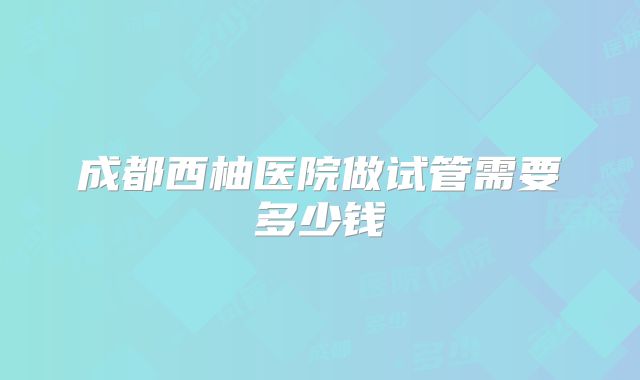 成都西柚医院做试管需要多少钱