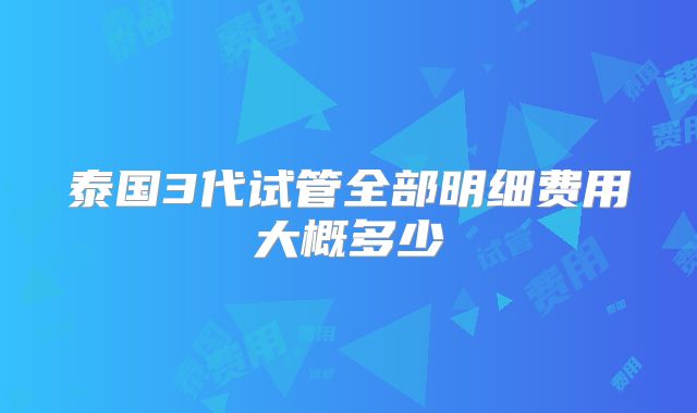 泰国3代试管全部明细费用大概多少