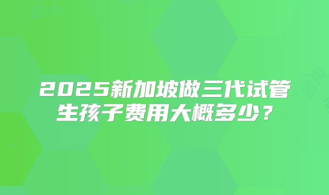 2025新加坡做三代试管生孩子费用大概多少?