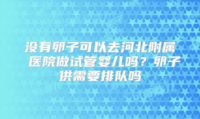 没有卵子可以去河北附属 医院做试管婴儿吗？卵子供需要排队吗