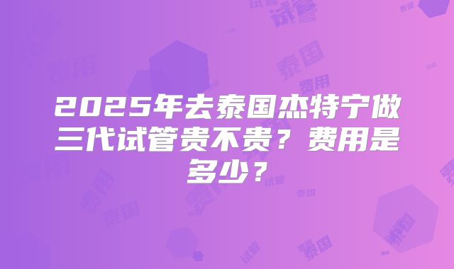 2025年去泰国杰特宁做三代试管贵不贵?费用是多少?