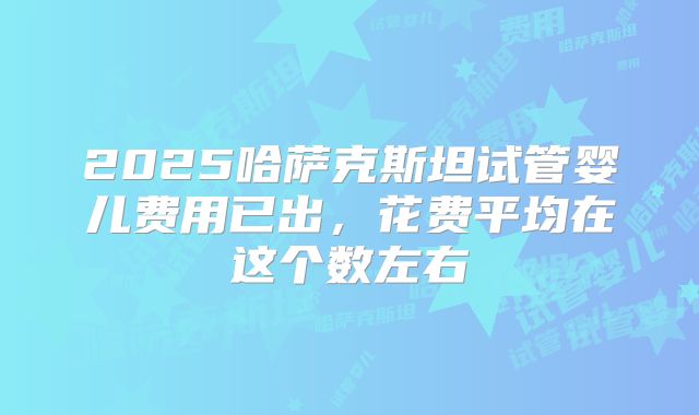 2025哈萨克斯坦试管婴儿费用已出，花费平均在这个数左右
