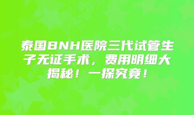 泰国BNH医院三代试管生子无证手术,费用明细大揭秘!一探究竟!