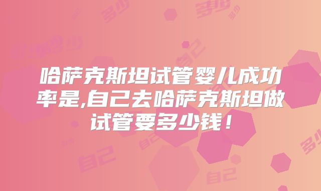 哈萨克斯坦试管婴儿成功率是,自己去哈萨克斯坦做试管要多少钱！