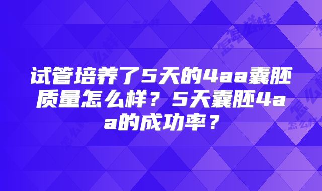 试管培养了5天的4aa囊胚质量怎么样?5天囊胚4aa的成功率?