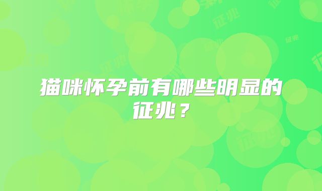 猫咪怀孕前有哪些明显的征兆？