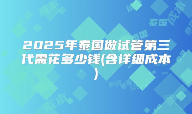 2025年泰国做试管第三代需花多少钱(含详细成本)