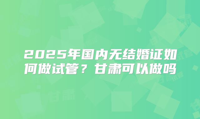 2025年国内无结婚证如何做试管?甘肃可以做吗
