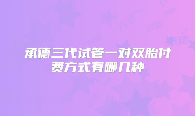 承德三代试管一对双胎付费方式有哪几种