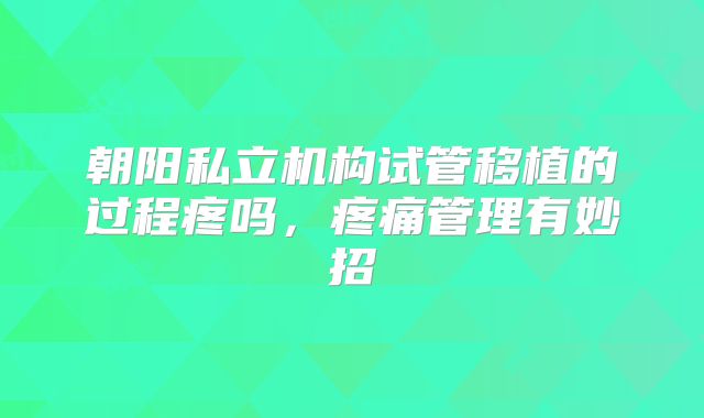 朝阳私立机构试管移植的过程疼吗，疼痛管理有妙招