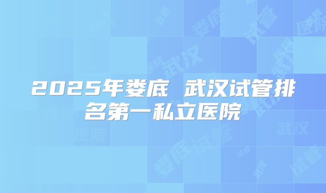 2025年娄底 武汉试管排名第一私立医院
