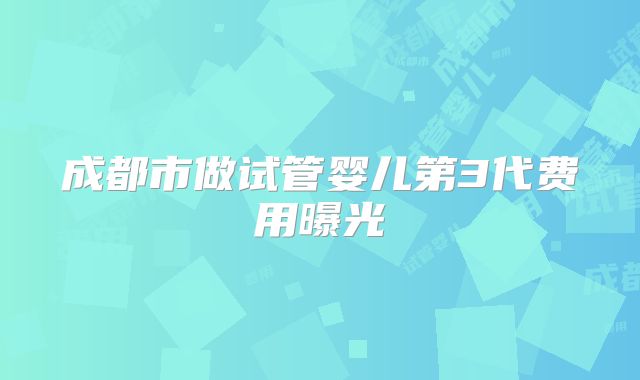 成都市做试管婴儿第3代费用曝光