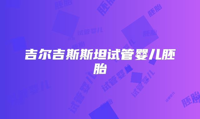 吉尔吉斯斯坦试管婴儿胚胎