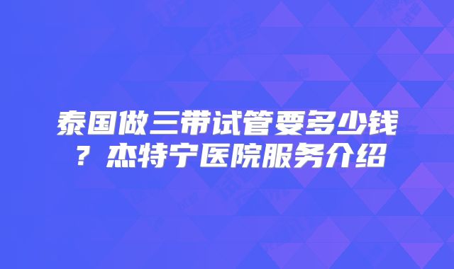泰国做三带试管要多少钱?杰特宁医院服务介绍