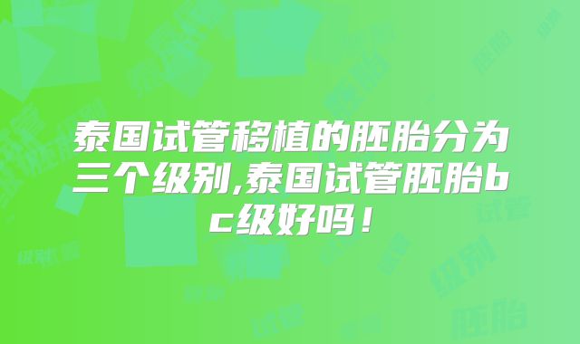 泰国试管移植的胚胎分为三个级别,泰国试管胚胎bc级好吗！