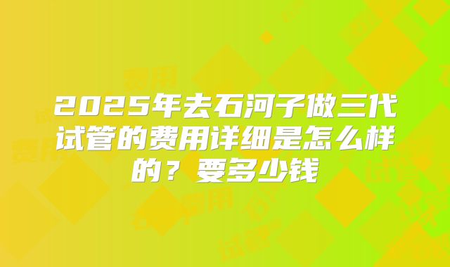 2025年去石河子做三代试管的费用详细是怎么样的？要多少钱