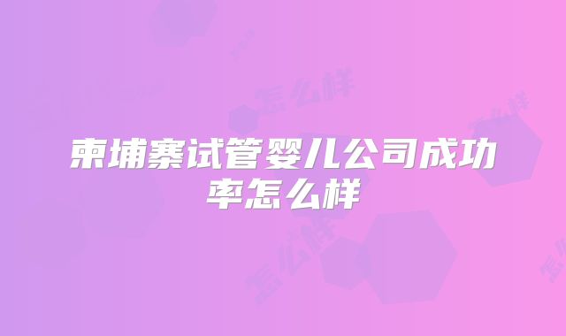 柬埔寨试管婴儿公司成功率怎么样
