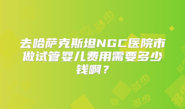 去哈萨克斯坦NGC医院市做试管婴儿费用需要多少钱啊？