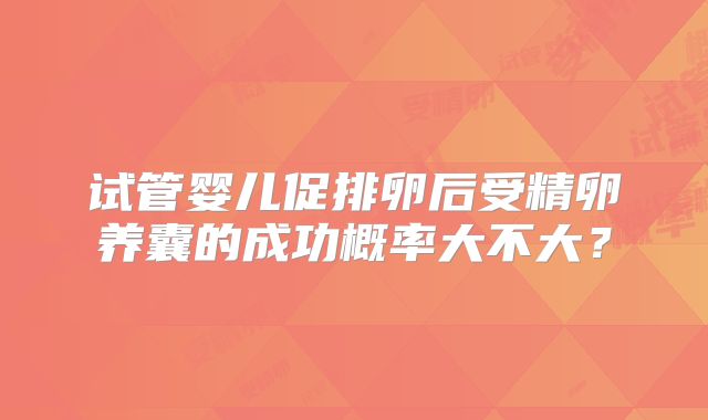 试管婴儿促排卵后受精卵养囊的成功概率大不大?